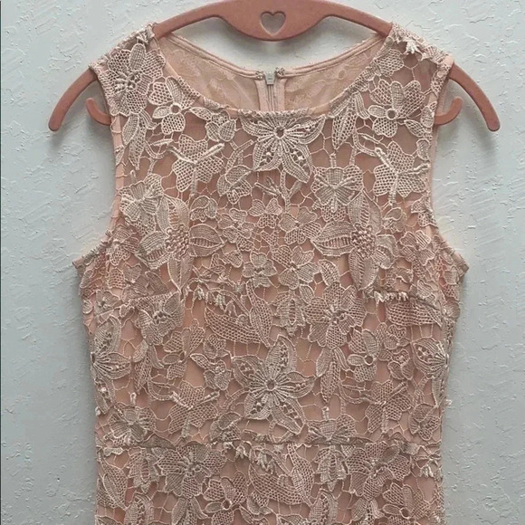 Julia Jordan Pink A Line Lace Dress size Small - Picture 3 of 7
